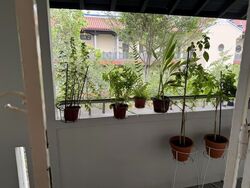 Blk 253 Kim Keat Avenue (Toa Payoh), HDB 4 Rooms #638119031